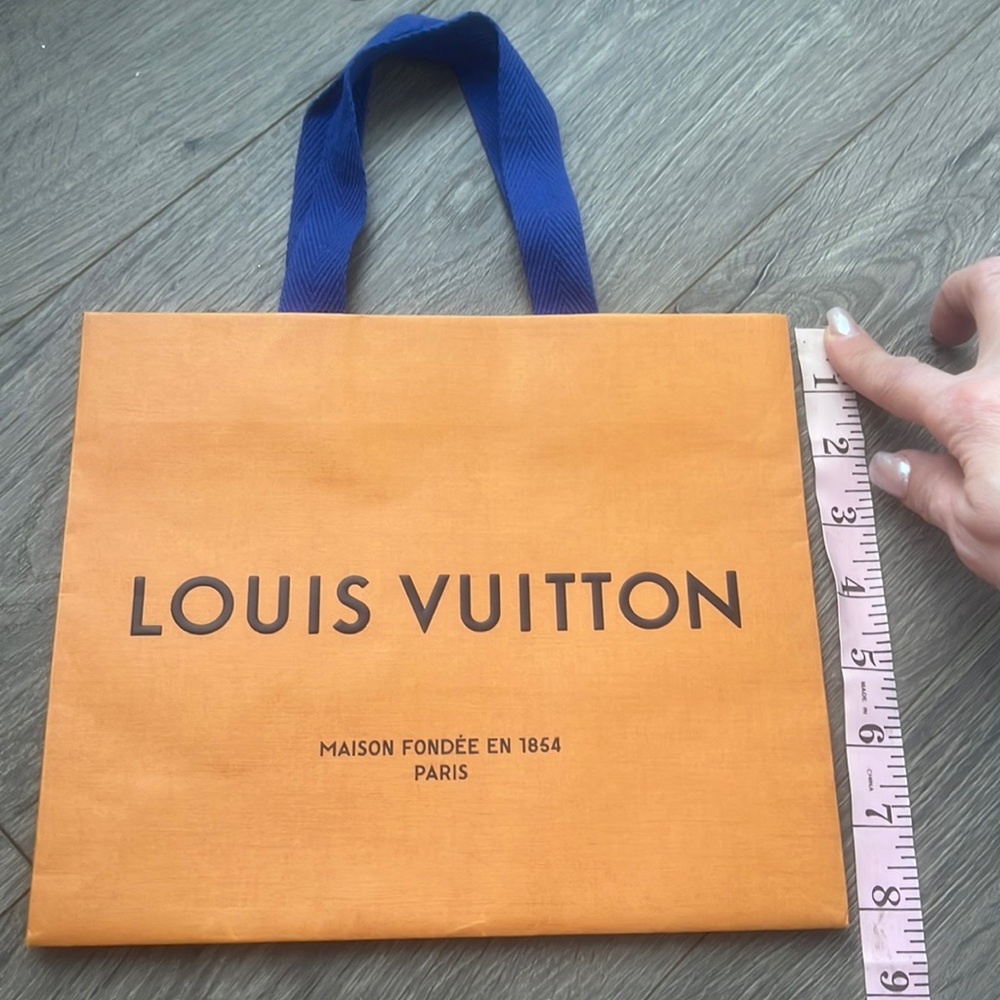 Louis Vuitton shopping bag